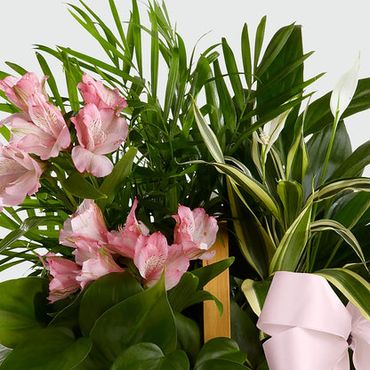 Living Spirit Dishgarden –  Thompson Country Florist, Wintersville OH