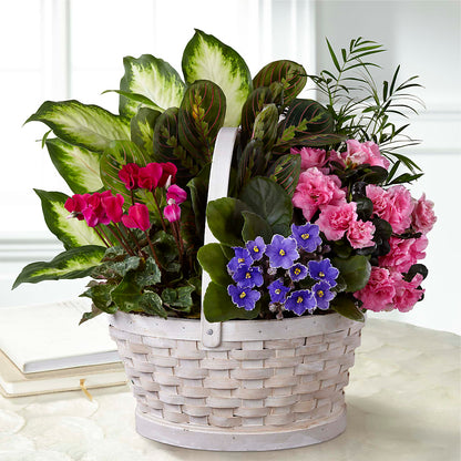 Peaceful Garden Planter –  Thompson Country Florist, Wintersville OH