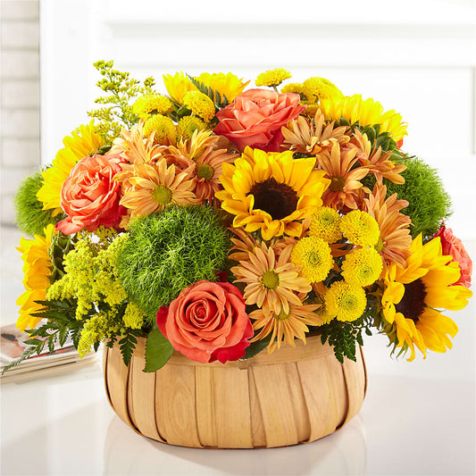 Harvest Sunflower Basket –  Thompson Country Florist, Wintersville OH