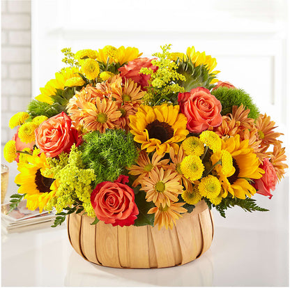 Harvest Sunflower Basket –  Thompson Country Florist, Wintersville OH