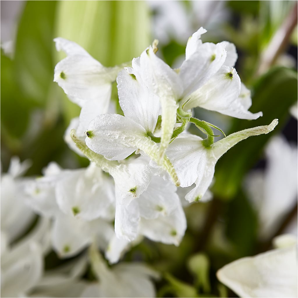 Classic Ivory – A Florist Original –  Thompson Country Florist, Wintersville OH