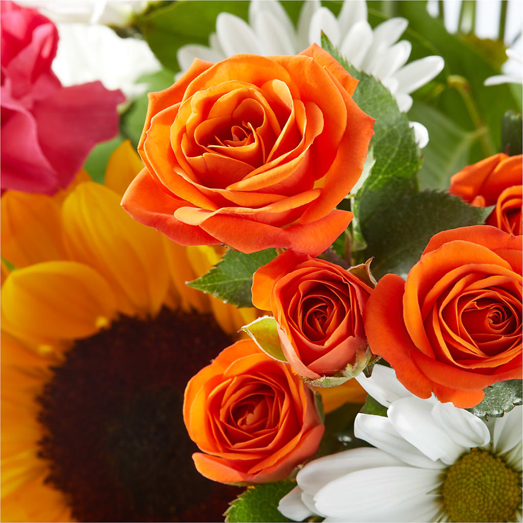 Sun-drenched Blooms Bouquet –  Thompson Country Florist, Wintersville OH