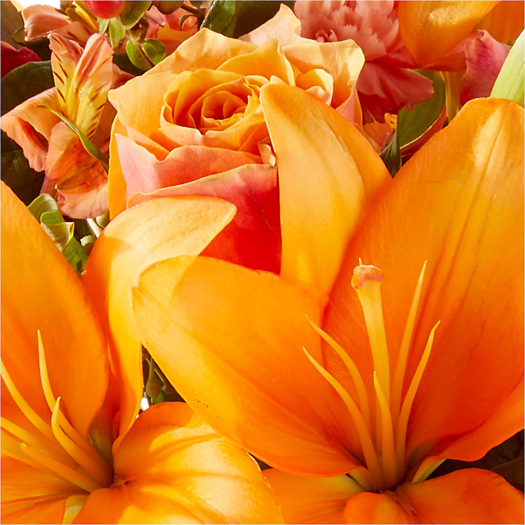 Afternoon Light Bouquet –  Thompson Country Florist, Wintersville OH