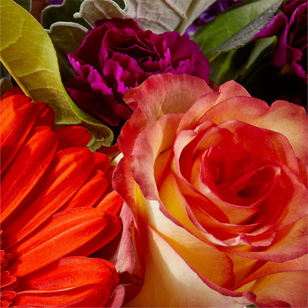 Sangria Bouquet –  Thompson Country Florist, Wintersville OH