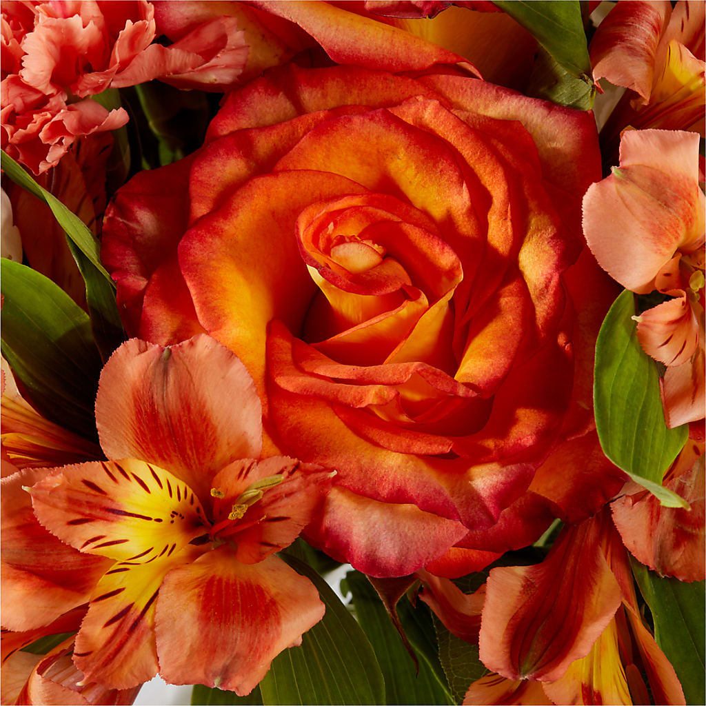 Apricot Glow Bouquet –  Thompson Country Florist, Wintersville OH