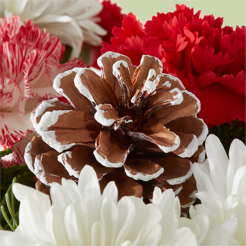 Candy Cane Lane Bouquet –  Thompson Country Florist, Wintersville OH