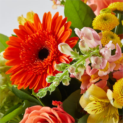 Autumn Sunshine Bouquet –  Thompson Country Florist, Wintersville OH