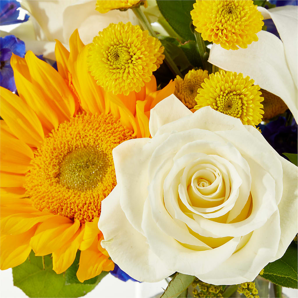 Stargazing Bouquet –  Thompson Country Florist, Wintersville OH