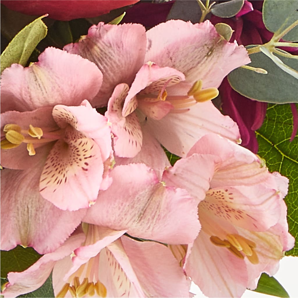 Berry Cobbler Bouquet –  Thompson Country Florist, Wintersville OH