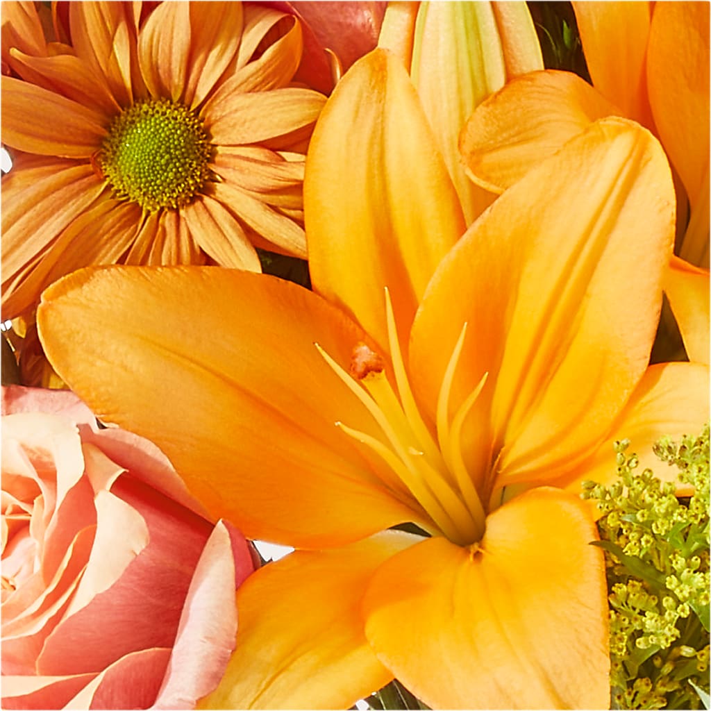 Harvest Hayride Bouquet –  Thompson Country Florist, Wintersville OH
