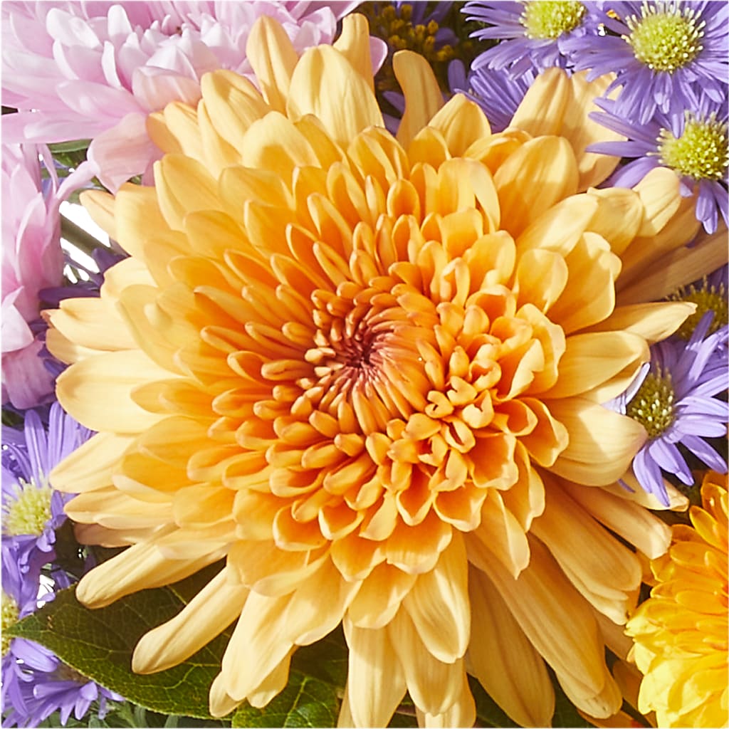 Countryside Bouquet –  Thompson Country Florist, Wintersville OH