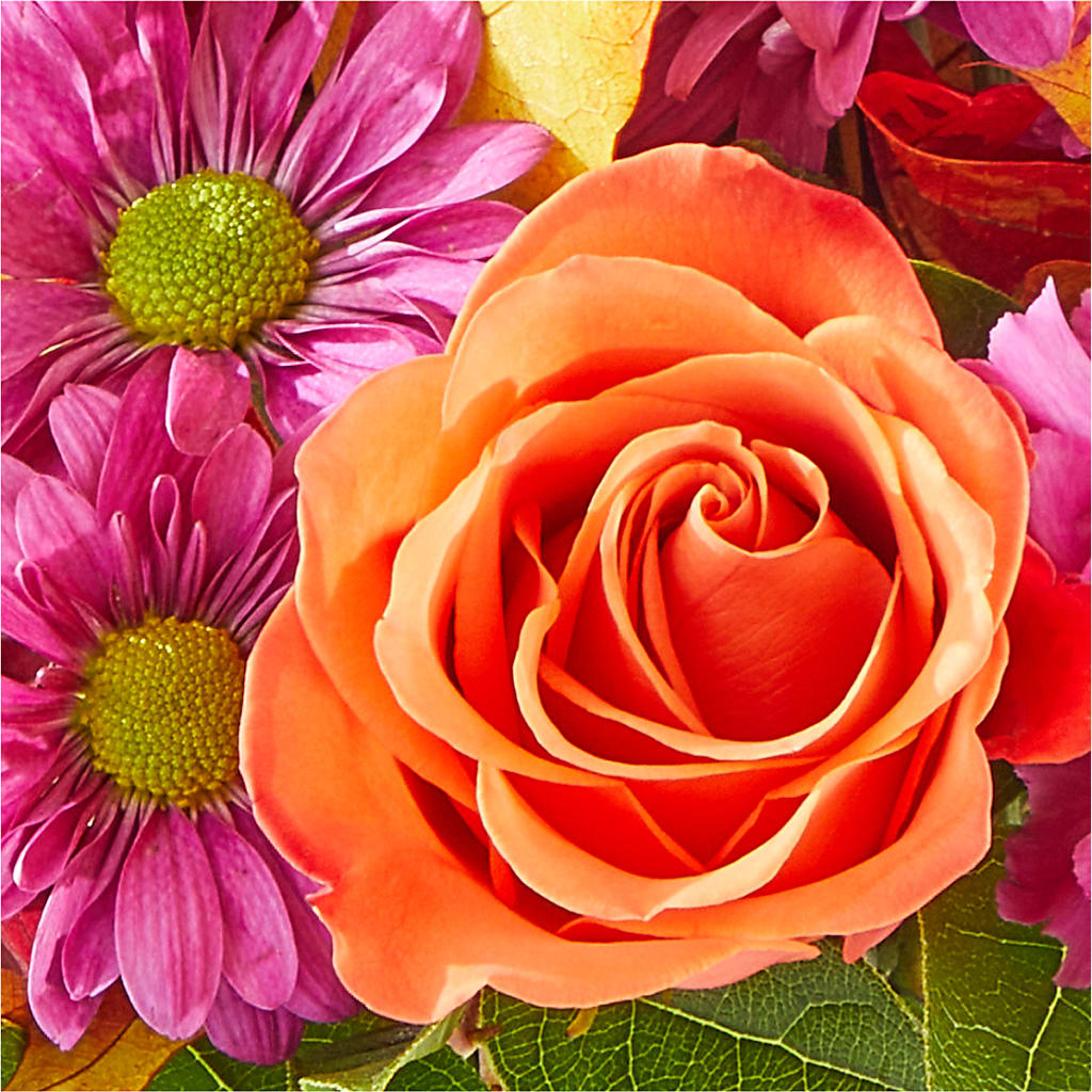 Mum's the Word Bouquet –  Thompson Country Florist, Wintersville OH