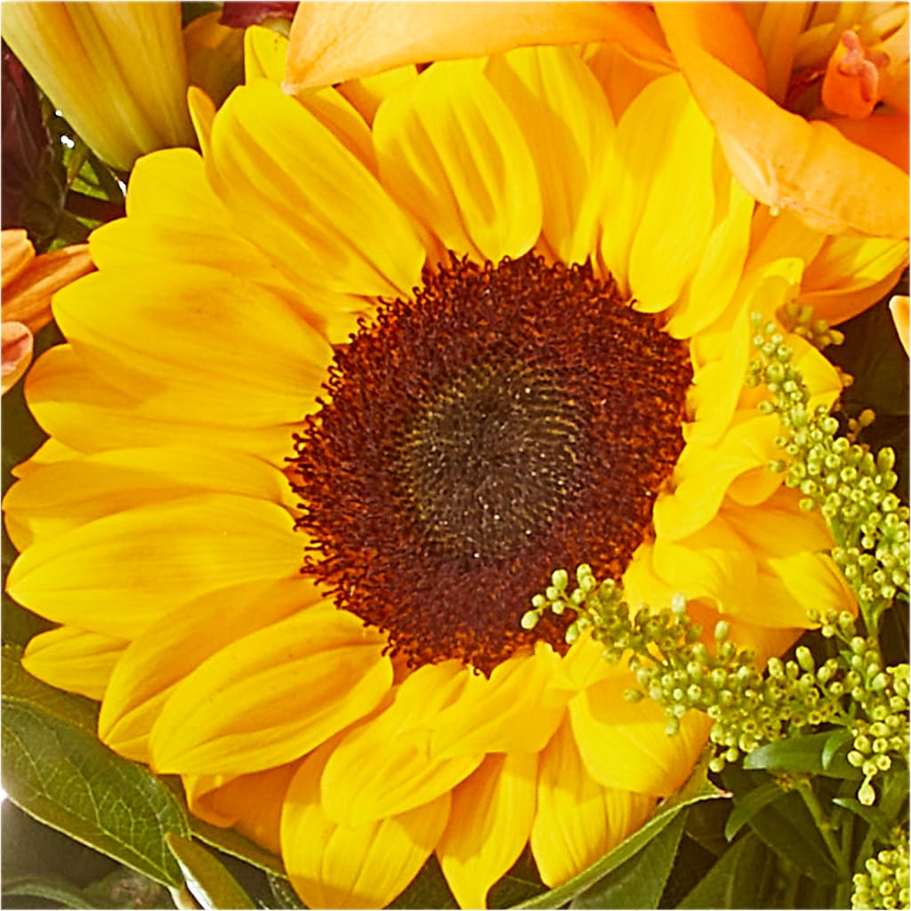 Seasons Change Bouquet –  Thompson Country Florist, Wintersville OH