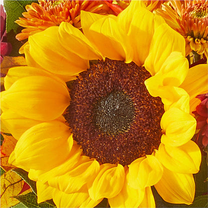 Sunny Side Bouquet –  Thompson Country Florist, Wintersville OH
