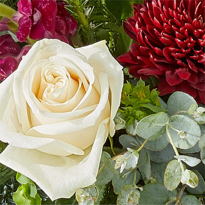 Cranberry Fizz Bouquet –  Thompson Country Florist, Wintersville OH