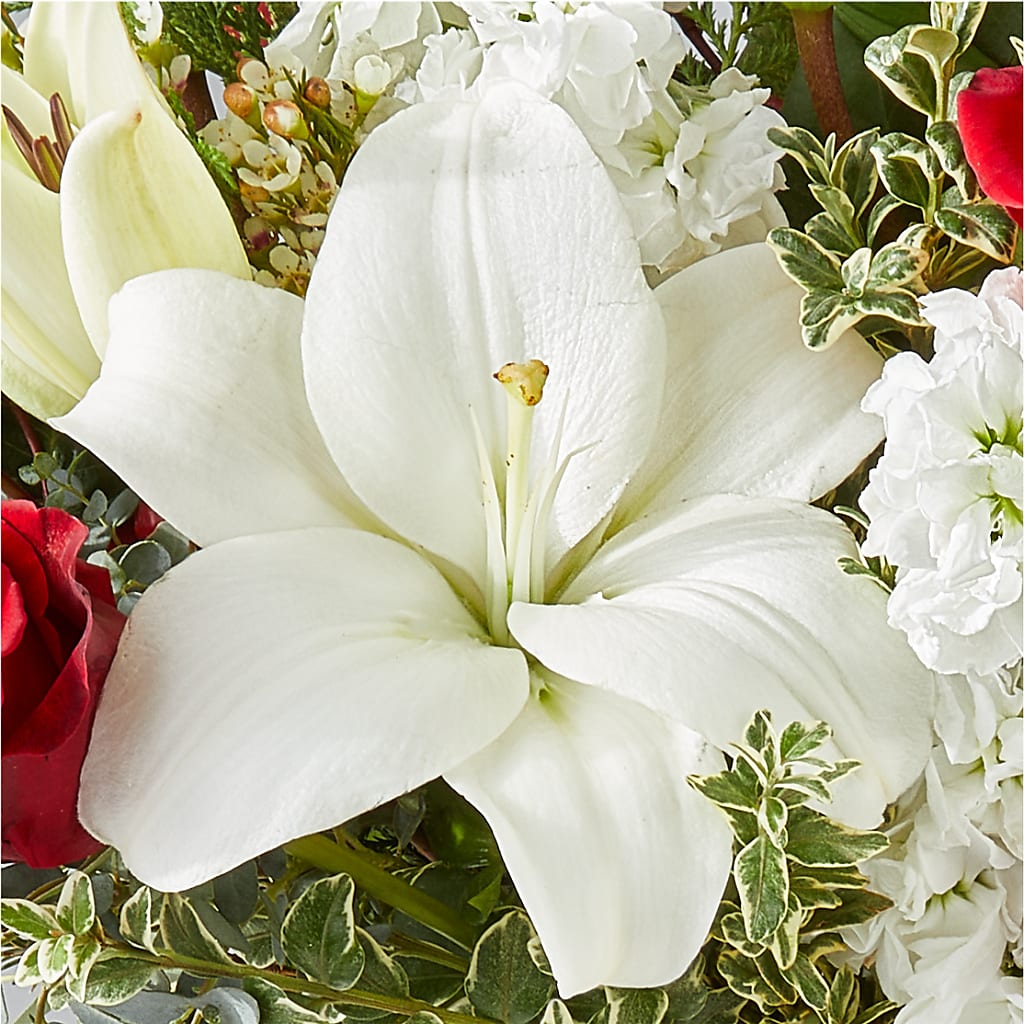 Twinkle Lights Bouquet –  Thompson Country Florist, Wintersville OH
