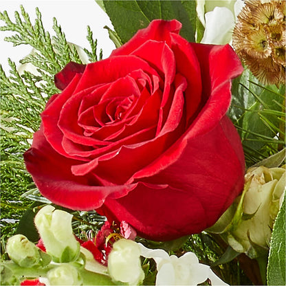 Deck the Halls Bouquet –  Thompson Country Florist, Wintersville OH