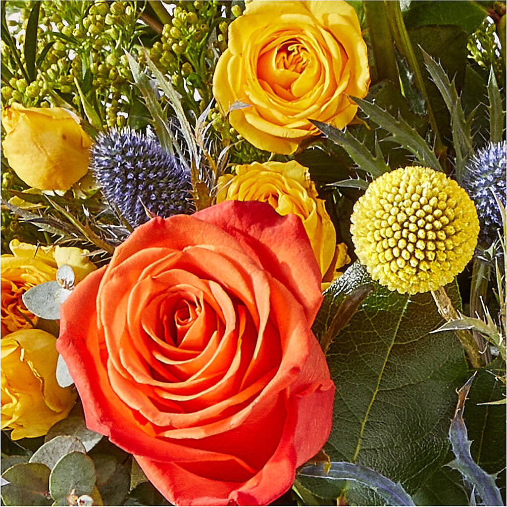 Disco Bouquet –  Thompson Country Florist, Wintersville OH