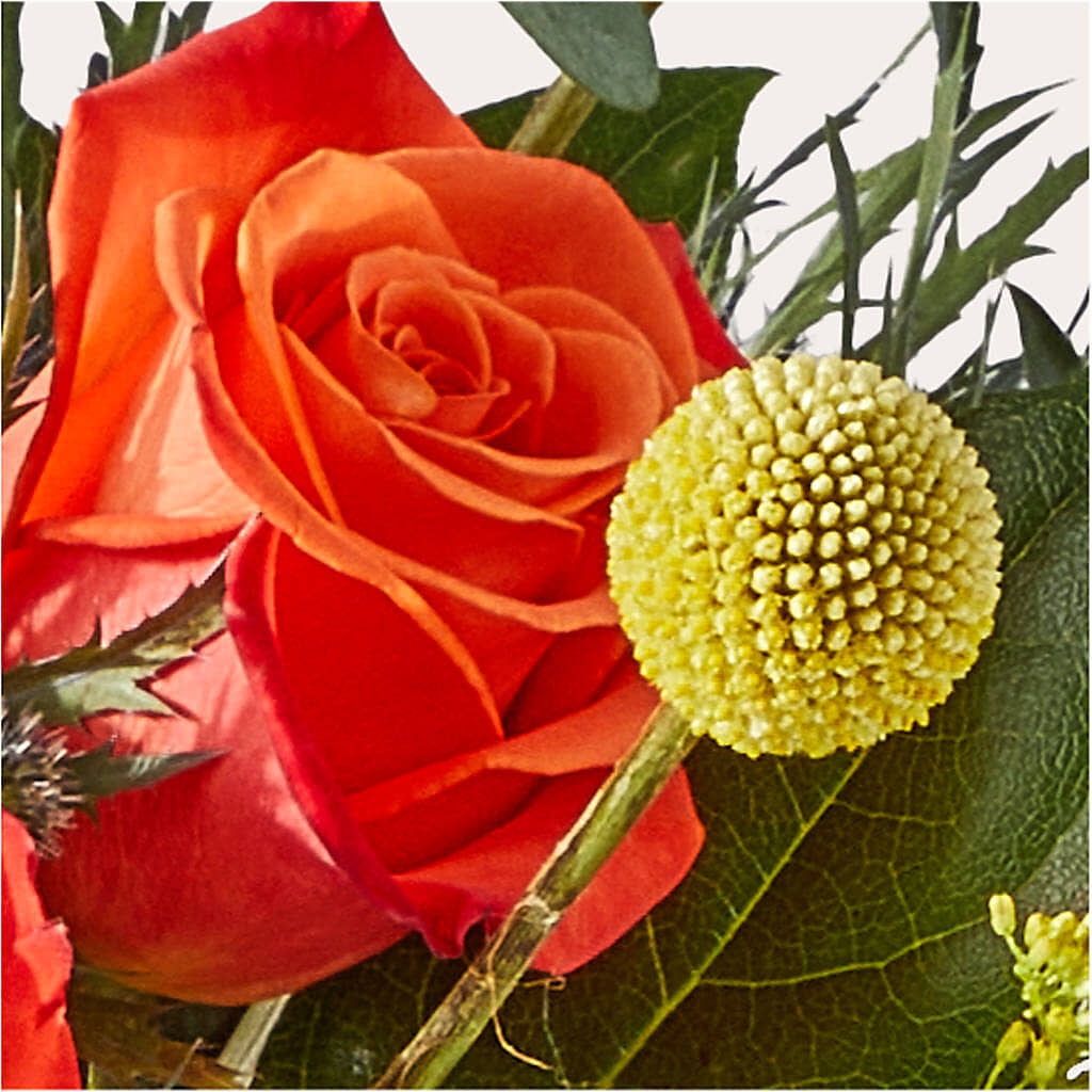 Disco Bouquet –  Thompson Country Florist, Wintersville OH
