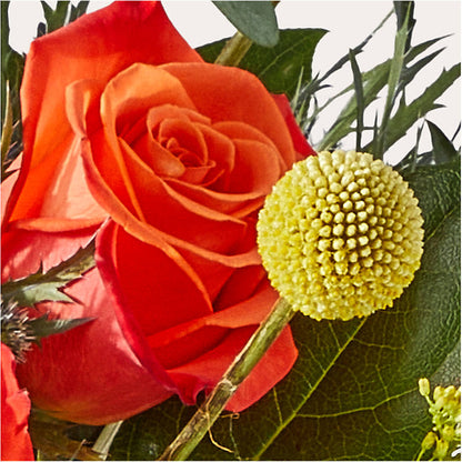 Disco Bouquet –  Thompson Country Florist, Wintersville OH