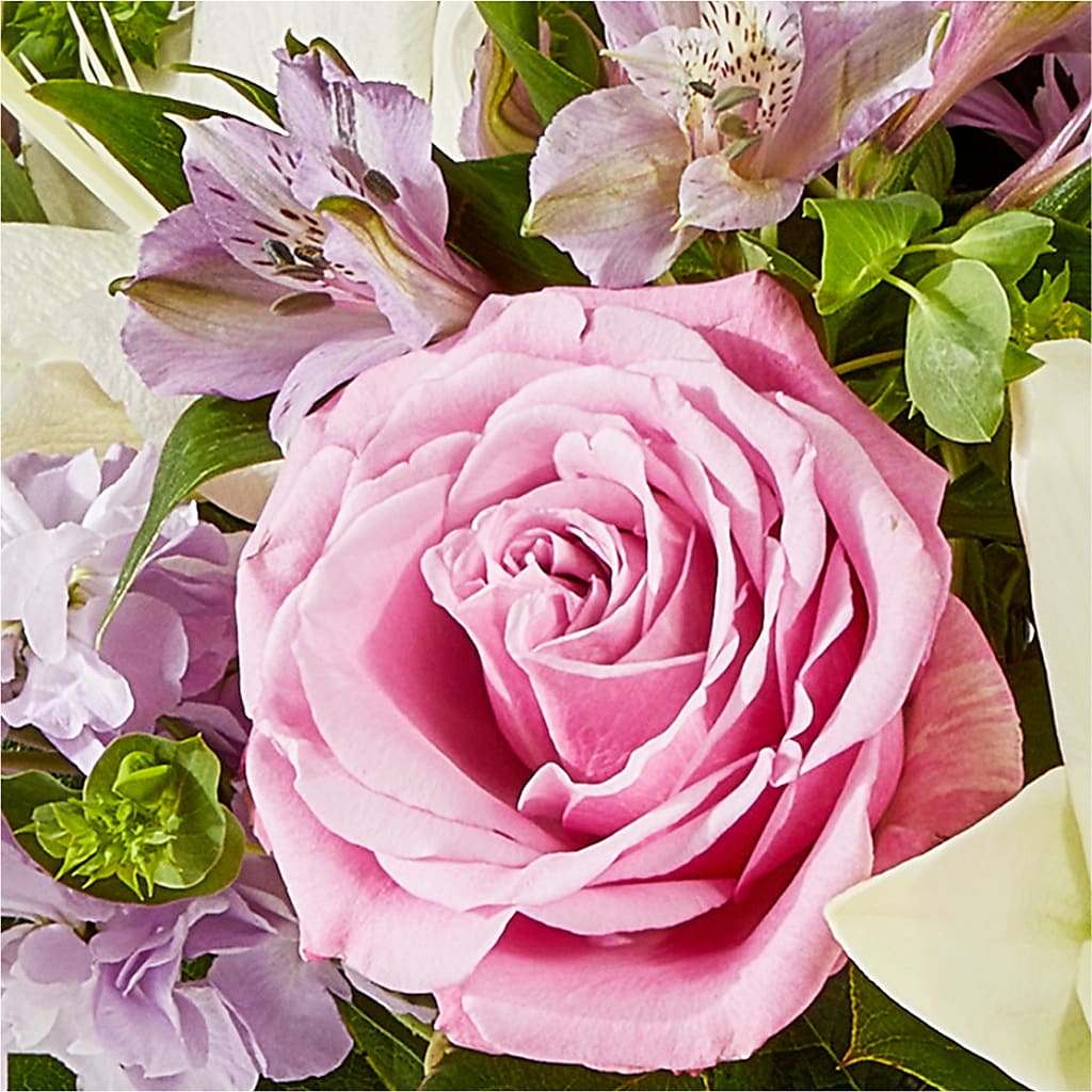 Daydreamer Bouquet –  Thompson Country Florist, Wintersville OH