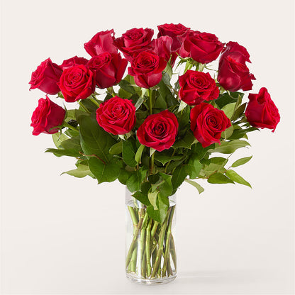 The One Red Rose Bouquet –  Thompson Country Florist, Wintersville OH