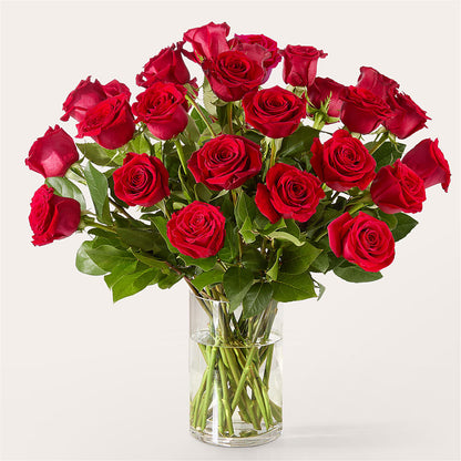 The One Red Rose Bouquet –  Thompson Country Florist, Wintersville OH