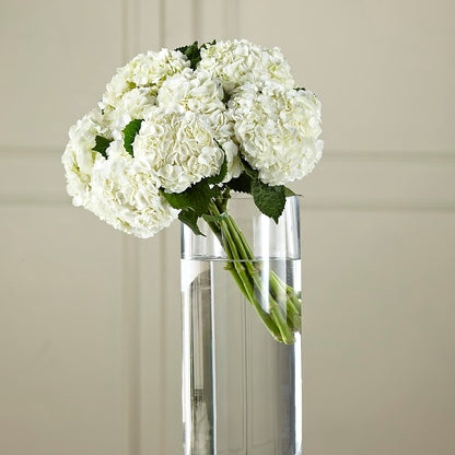 White Hydrangea Hand-Tied Bouquet –  Thompson Country Florist, Wintersville OH