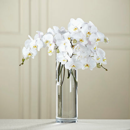 White Phalaenopsis Bouquet –  Thompson Country Florist, Wintersville OH