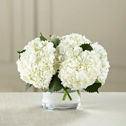 White Hydrangea Bouquet –  Thompson Country Florist, Wintersville OH